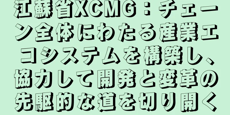 江蘇省XCMG：チェーン全体にわたる産業エコシステムを構築し、協力して開発と変革の先駆的な道を切り開く