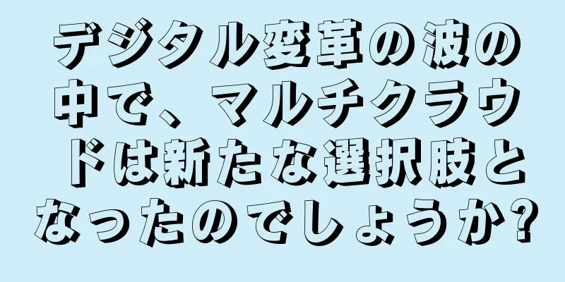 デジタル変革の波の中で、マルチクラウドは新たな選択肢となったのでしょうか?