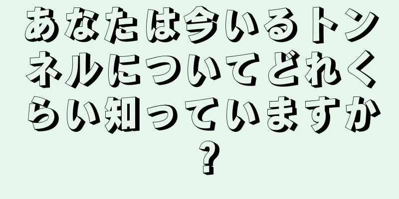 あなたは今いるトンネルについてどれくらい知っていますか？