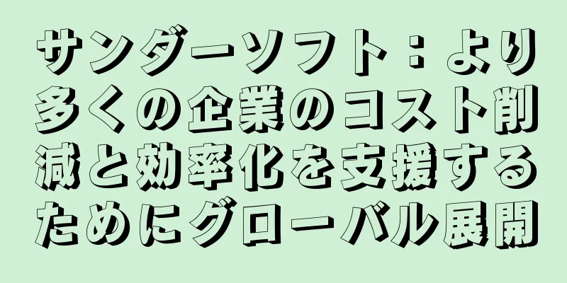 サンダーソフト：より多くの企業のコスト削減と効率化を支援するためにグローバル展開