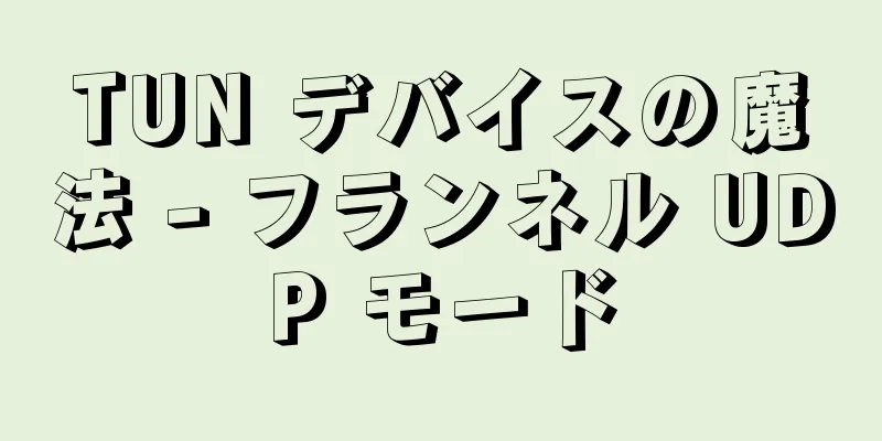TUN デバイスの魔法 - フランネル UDP モード