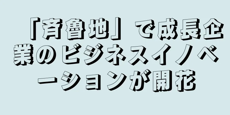 「斉魯地」で成長企業のビジネスイノベーションが開花
