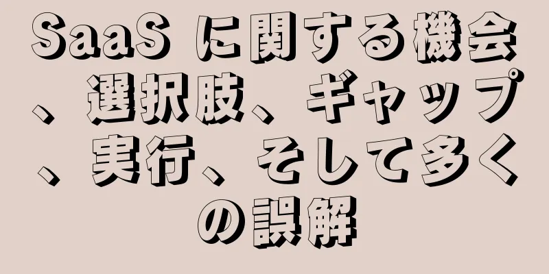 SaaS に関する機会、選択肢、ギャップ、実行、そして多くの誤解