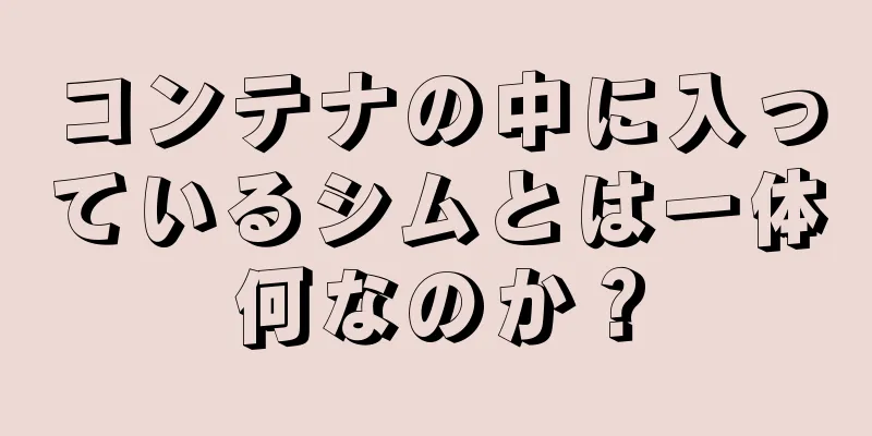 コンテナの中に入っているシムとは一体何なのか？