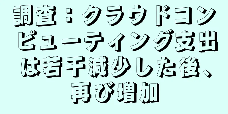 調査：クラウドコンピューティング支出は若干減少した後、再び増加