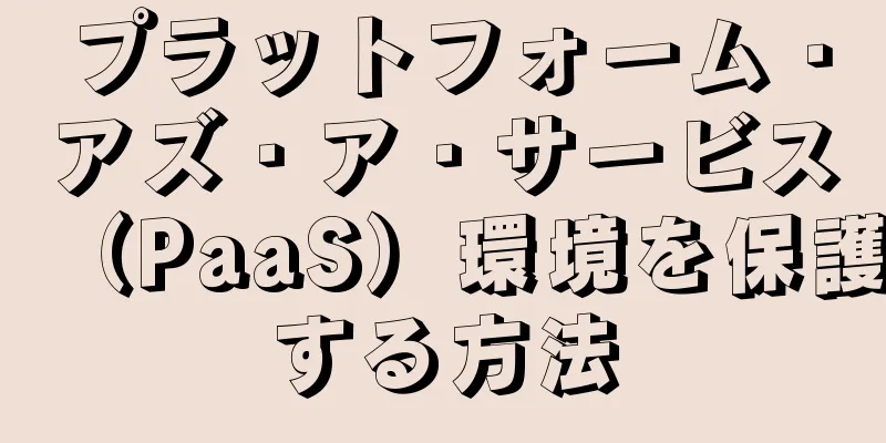 プラットフォーム・アズ・ア・サービス（PaaS）環境を保護する方法