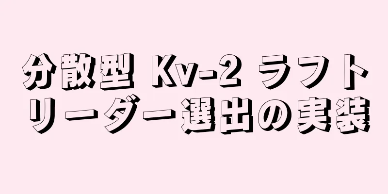 分散型 Kv-2 ラフトリーダー選出の実装