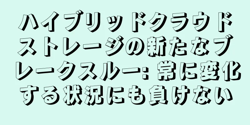 ハイブリッドクラウドストレージの新たなブレークスルー: 常に変化する状況にも負けない