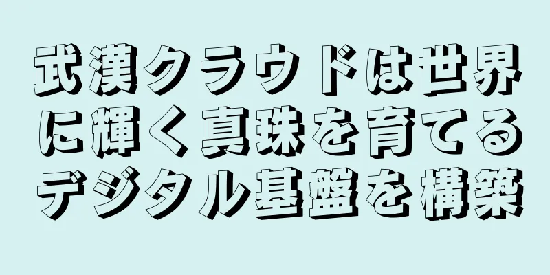 武漢クラウドは世界に輝く真珠を育てるデジタル基盤を構築