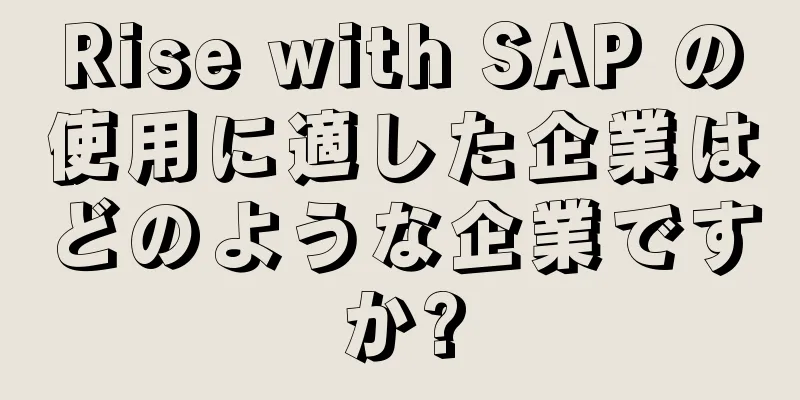 Rise with SAP の使用に適した企業はどのような企業ですか?