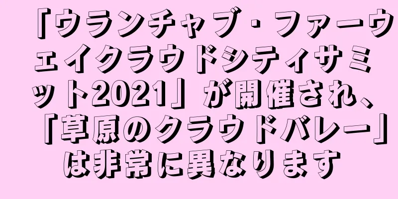 「ウランチャブ・ファーウェイクラウドシティサミット2021」が開催され、「草原のクラウドバレー」は非常に異なります