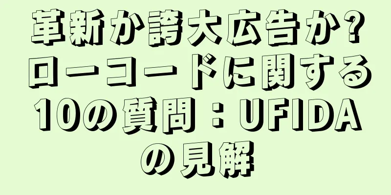 革新か誇大広告か?ローコードに関する10の質問：UFIDAの見解