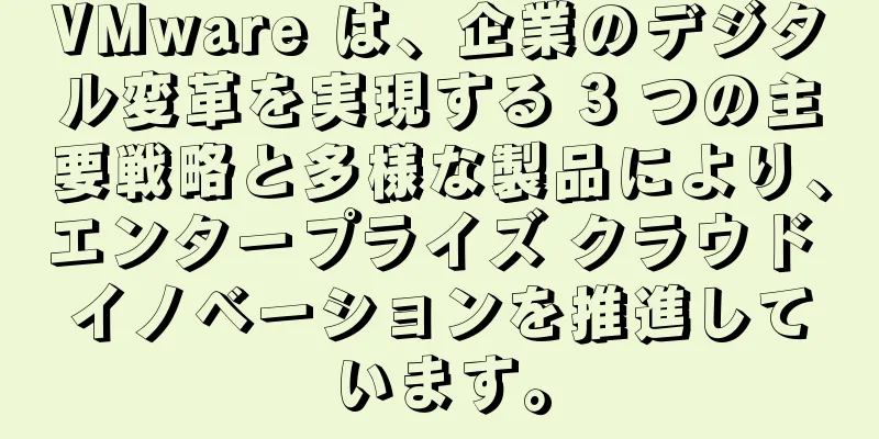 VMware は、企業のデジタル変革を実現する 3 つの主要戦略と多様な製品により、エンタープライズ クラウド イノベーションを推進しています。