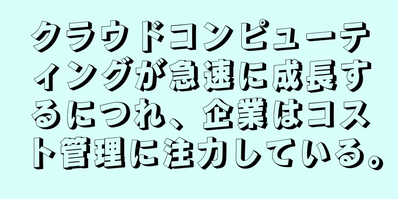 クラウドコンピューティングが急速に成長するにつれ、企業はコスト管理に注力している。