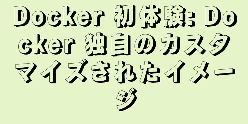 Docker 初体験: Docker 独自のカスタマイズされたイメージ