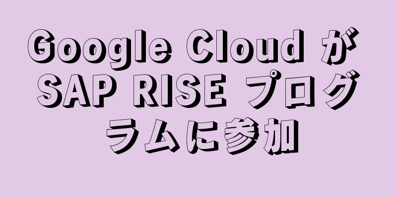 Google Cloud が SAP RISE プログラムに参加
