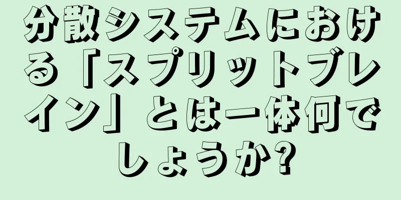 分散システムにおける「スプリットブレイン」とは一体何でしょうか?
