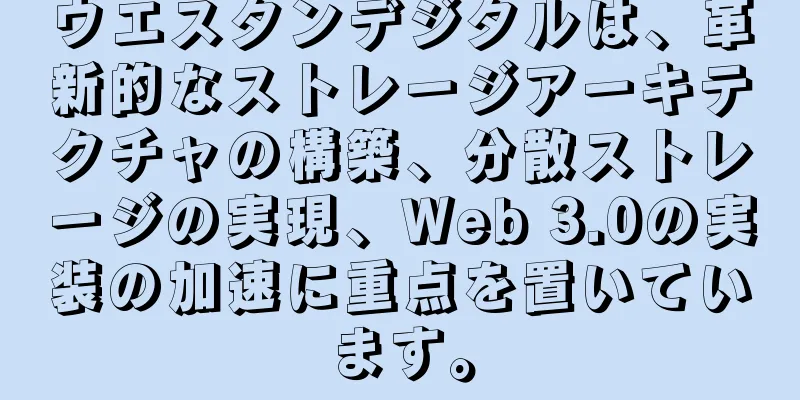 ウエスタンデジタルは、革新的なストレージアーキテクチャの構築、分散ストレージの実現、Web 3.0の実装の加速に重点を置いています。