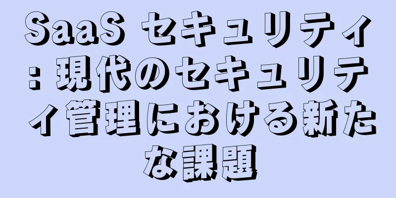 SaaS セキュリティ: 現代のセキュリティ管理における新たな課題