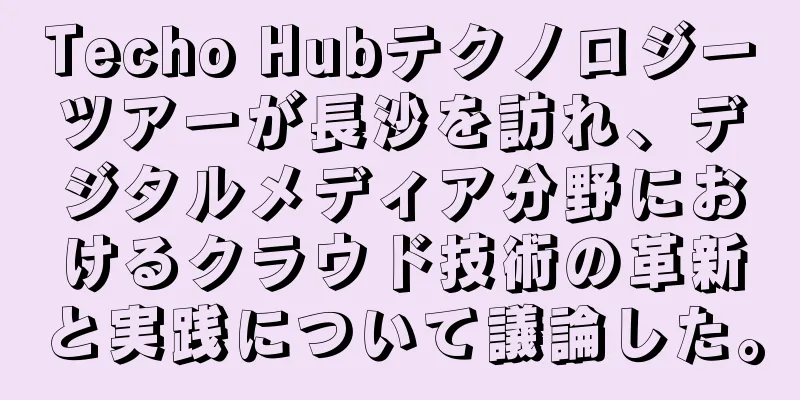Techo Hubテクノロジーツアーが長沙を訪れ、デジタルメディア分野におけるクラウド技術の革新と実践について議論した。