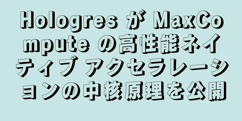 Hologres が MaxCompute の高性能ネイティブ アクセラレーションの中核原理を公開