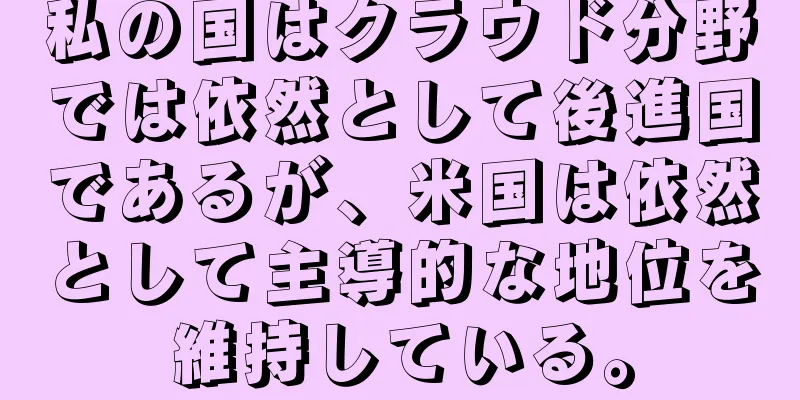 私の国はクラウド分野では依然として後進国であるが、米国は依然として主導的な地位を維持している。