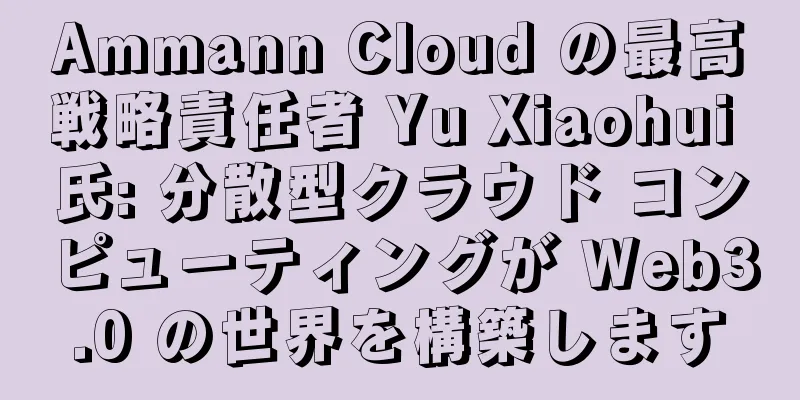 Ammann Cloud の最高戦略責任者 Yu Xiaohui 氏: 分散型クラウド コンピューティングが Web3.0 の世界を構築します