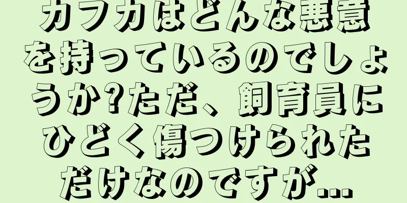 カフカはどんな悪意を持っているのでしょうか?ただ、飼育員にひどく傷つけられただけなのですが...