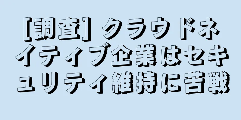 [調査] クラウドネイティブ企業はセキュリティ維持に苦戦