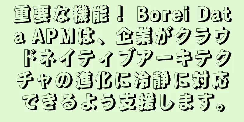 重要な機能！ Borei Data APMは、企業がクラウドネイティブアーキテクチャの進化に冷静に対応できるよう支援します。