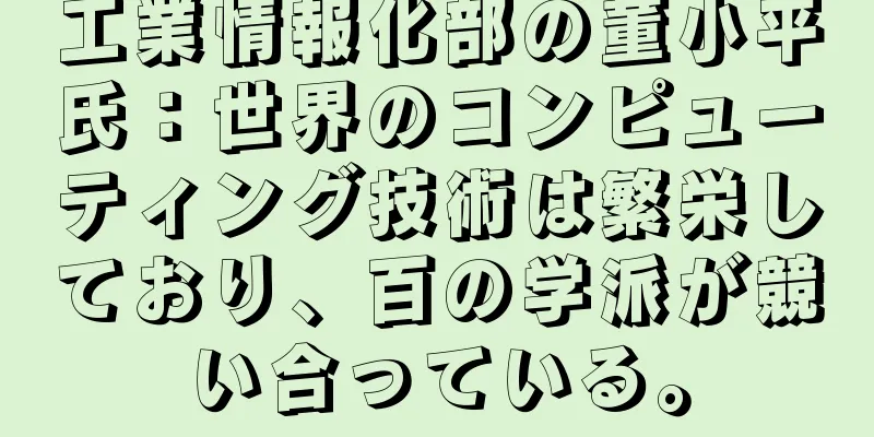 工業情報化部の董小平氏：世界のコンピューティング技術は繁栄しており、百の学派が競い合っている。