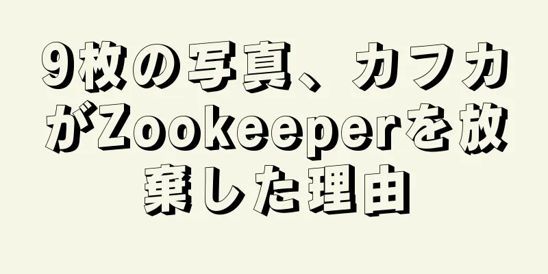 9枚の写真、カフカがZookeeperを放棄した理由