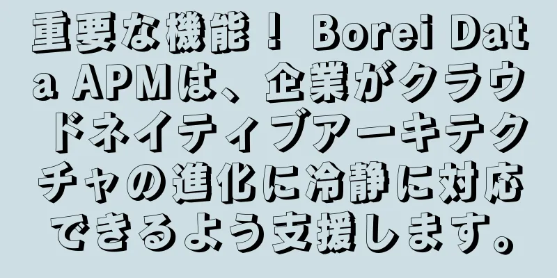 重要な機能！ Borei Data APMは、企業がクラウドネイティブアーキテクチャの進化に冷静に対応できるよう支援します。
