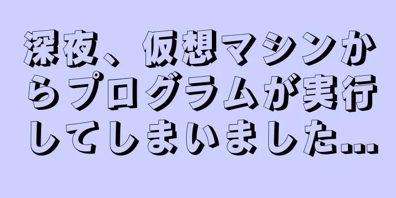深夜、仮想マシンからプログラムが実行してしまいました...
