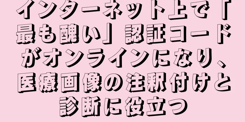 インターネット上で「最も醜い」認証コードがオンラインになり、医療画像の注釈付けと診断に役立つ
