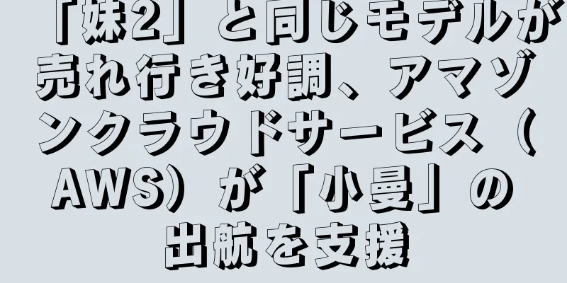 「妹2」と同じモデルが売れ行き好調、アマゾンクラウドサービス（AWS）が「小曼」の出航を支援
