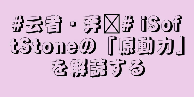 #云者・奔跑# iSoftStoneの「原動力」を解読する