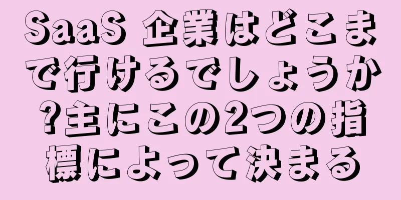 SaaS 企業はどこまで行けるでしょうか?主にこの2つの指標によって決まる