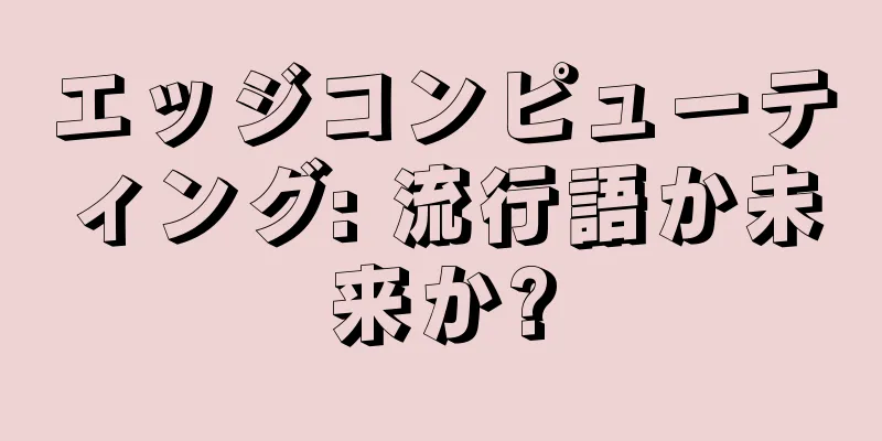 エッジコンピューティング: 流行語か未来か?