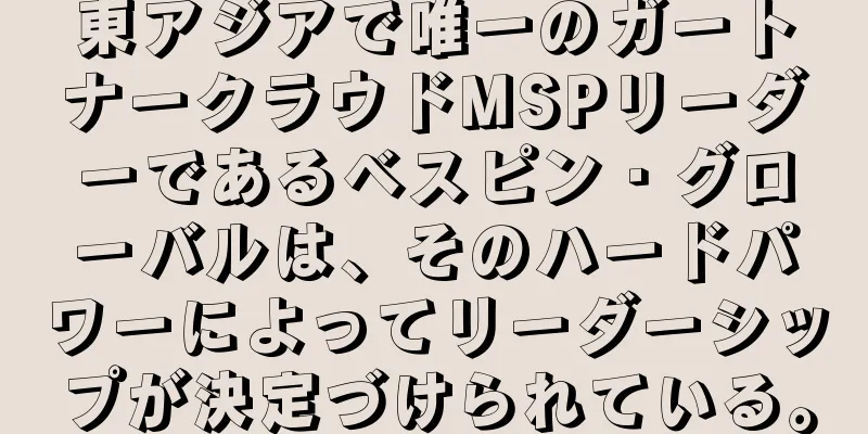 東アジアで唯一のガートナークラウドMSPリーダーであるベスピン・グローバルは、そのハードパワーによってリーダーシップが決定づけられている。