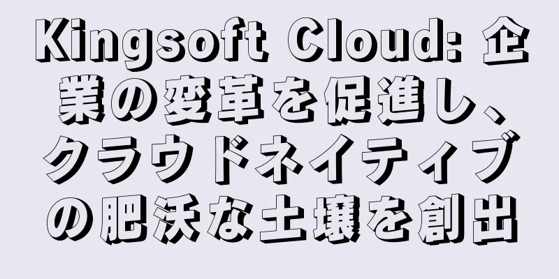 Kingsoft Cloud: 企業の変革を促進し、クラウドネイティブの肥沃な土壌を創出