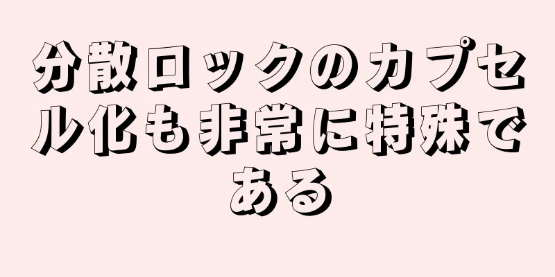 分散ロックのカプセル化も非常に特殊である