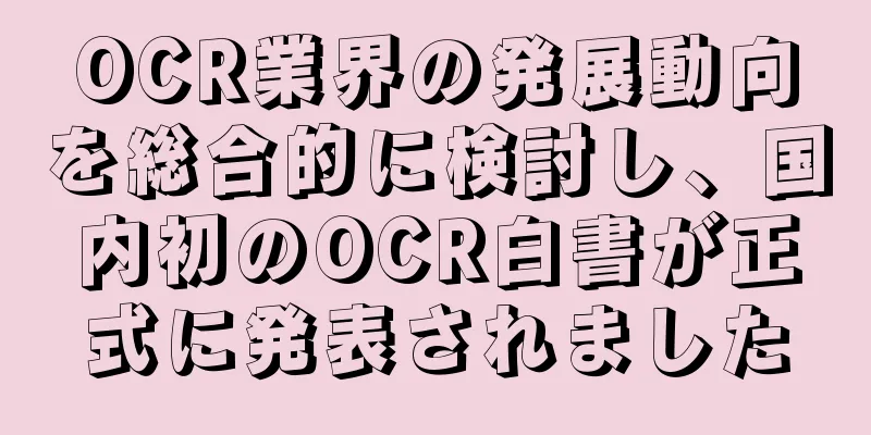 OCR業界の発展動向を総合的に検討し、国内初のOCR白書が正式に発表されました