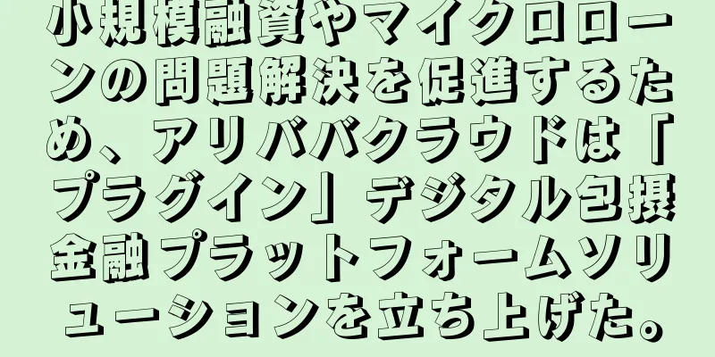 小規模融資やマイクロローンの問題解決を促進するため、アリババクラウドは「プラグイン」デジタル包摂金融プラットフォームソリューションを立ち上げた。