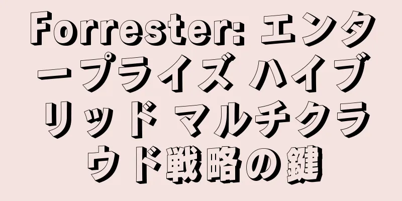 Forrester: エンタープライズ ハイブリッド マルチクラウド戦略の鍵