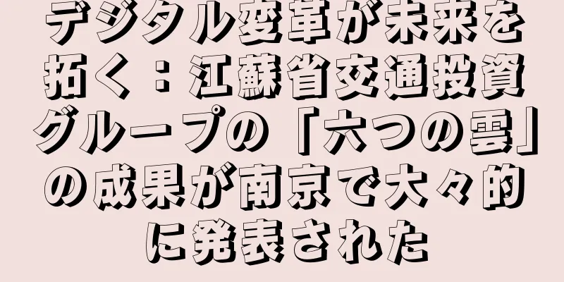 デジタル変革が未来を拓く：江蘇省交通投資グループの「六つの雲」の成果が南京で大々的に発表された