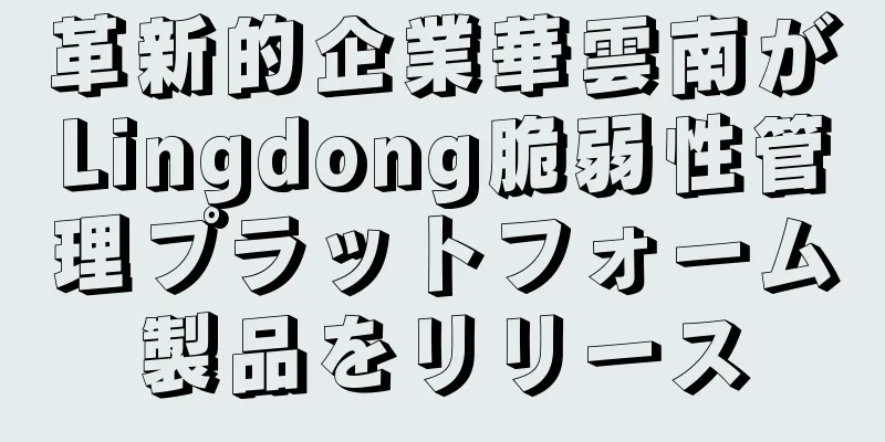革新的企業華雲南がLingdong脆弱性管理プラットフォーム製品をリリース