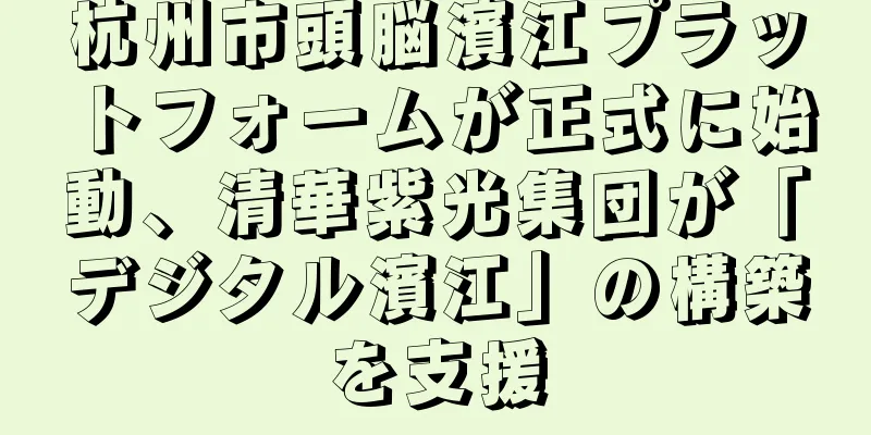 杭州市頭脳濱江プラットフォームが正式に始動、清華紫光集団が「デジタル濱江」の構築を支援