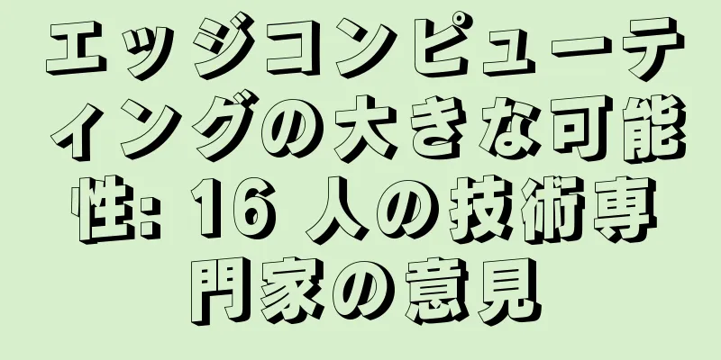 エッジコンピューティングの大きな可能性: 16 人の技術専門家の意見