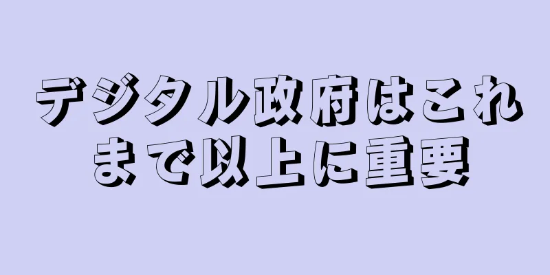 デジタル政府はこれまで以上に重要
